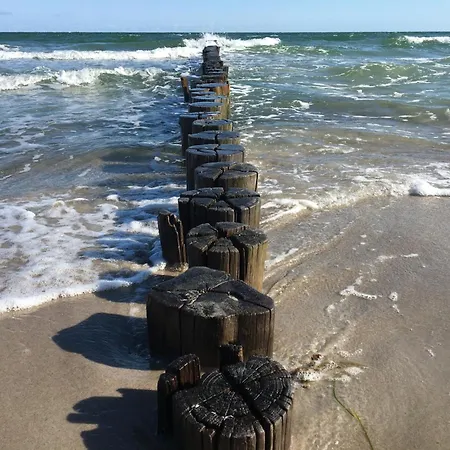 Straminke 4b Strandlaeufer Zingst