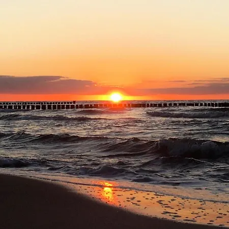 Straminke 4b Strandlaeufer * Zingst