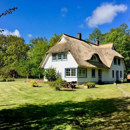 Straminke 4b Strandlaeufer