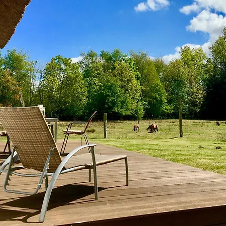 Straminke 4b Strandlaeufer *